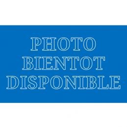 Marteau une pointe adaptable Bugnot type SPD - SPG